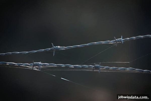 jdb电子超级大奖视角：菲律宾娱乐行业监管框架深度解读